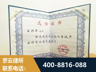 辛集-遗产分割